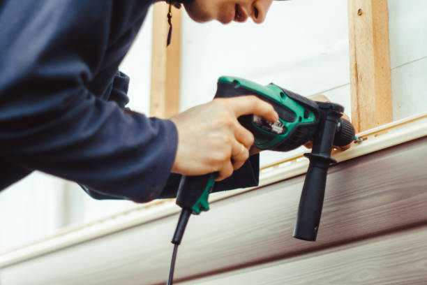 Affordable Siding Repair and Maintenance Services in Lamont, MI